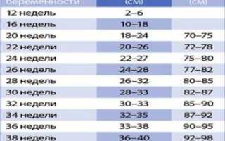 Вдм и ож при беременности по неделям таблица